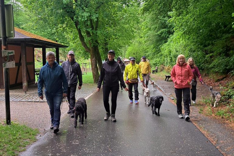 Foto Hundespaziergang 2026